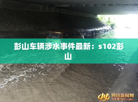 彭山车辆涉水事件最新：s102彭山 