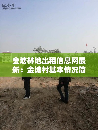 物离乡贵 第2页