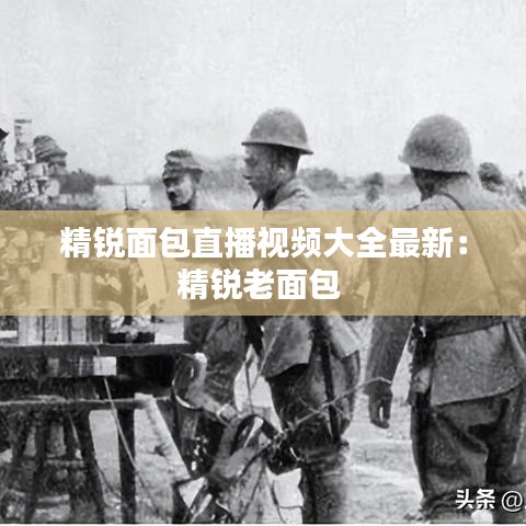 精锐面包直播视频大全最新：精锐老面包 