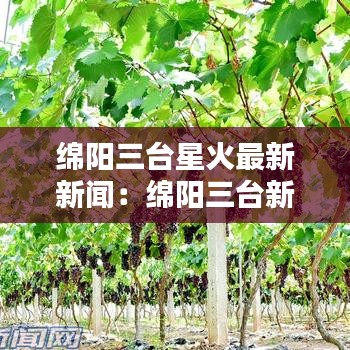 继晷焚膏 第2页
