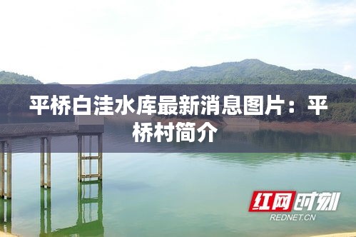 平桥白洼水库最新消息图片：平桥村简介 