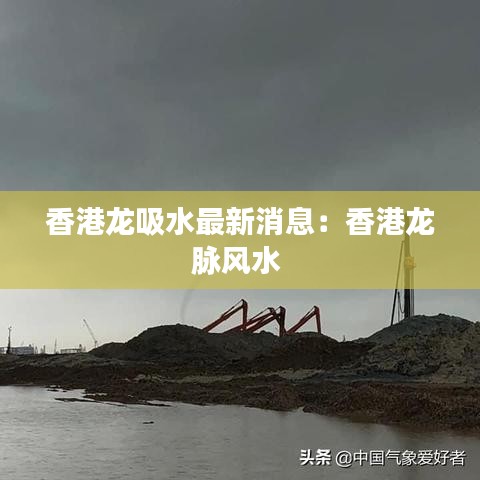 鸟骇鼠窜 第2页