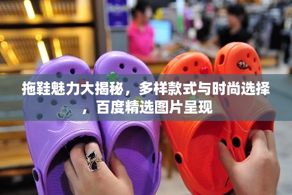 拖鞋魅力大揭秘，多样款式与时尚选择，百度精选图片呈现