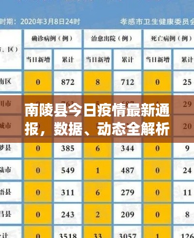 南陵县今日疫情最新通报，数据、动态全解析！
