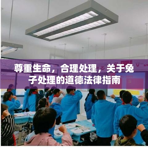囫囵吞枣 第3页