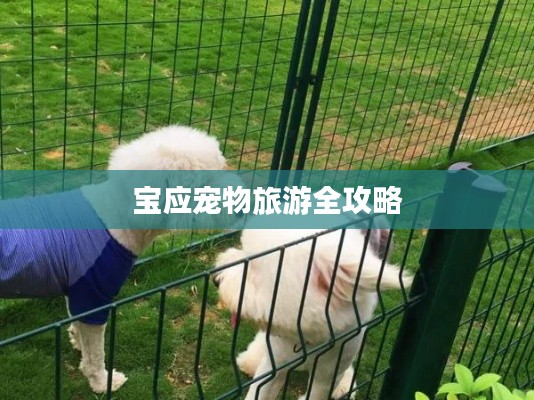 降尊纡贵 第2页