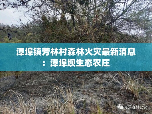 潭埠镇芳林村森林火灾最新消息：潭埠坝生态农庄 