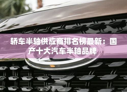 百不得一 第2页