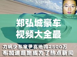 郑弘城豪车视频大全最新：郑诚个人资料 