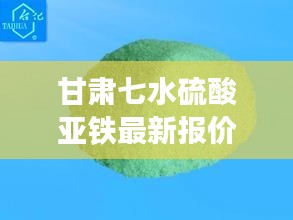 鸢飞鱼跃 第2页