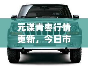 元谋青枣行情更新，今日市场最新动态一网打尽