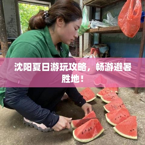 沈阳夏日游玩攻略，畅游避暑胜地！