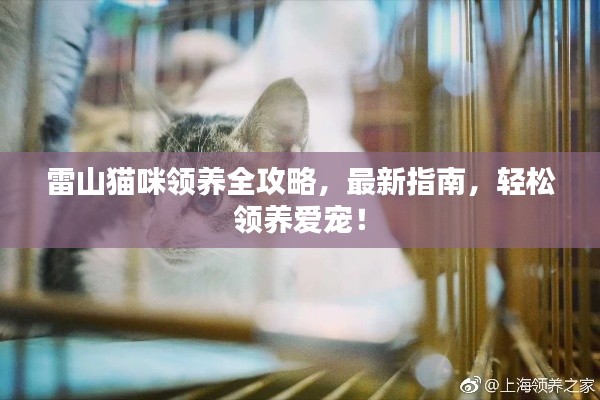 雷山猫咪领养全攻略，最新指南，轻松领养爱宠！