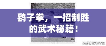 鹞子拳，一招制胜的武术秘籍！