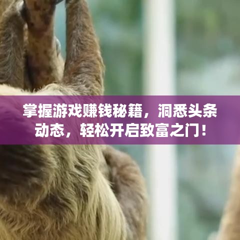 掌握游戏赚钱秘籍，洞悉头条动态，轻松开启致富之门！