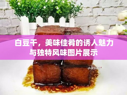 白豆干，美味佳肴的诱人魅力与独特风味图片展示