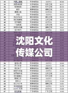 沈阳文化传媒公司权威排名榜单揭晓！