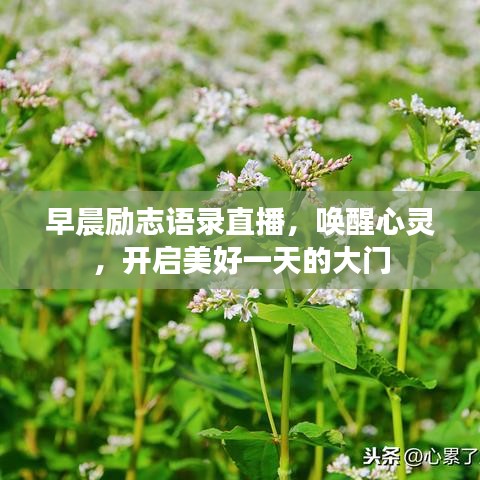 早晨励志语录直播，唤醒心灵，开启美好一天的大门