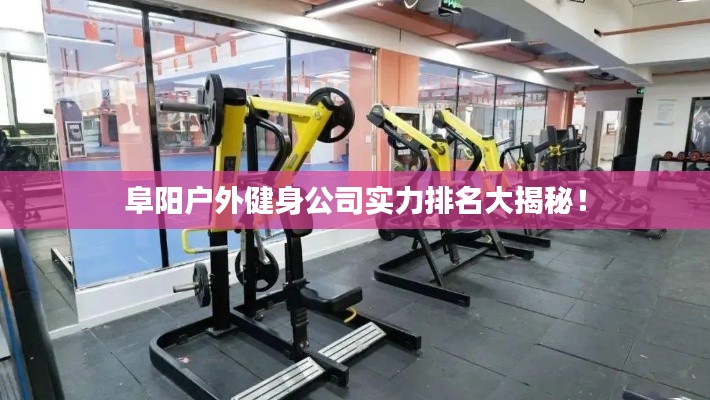 阜阳户外健身公司实力排名大揭秘！