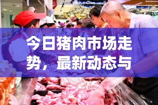 今日猪肉市场走势，最新动态与消费者关注焦点解析
