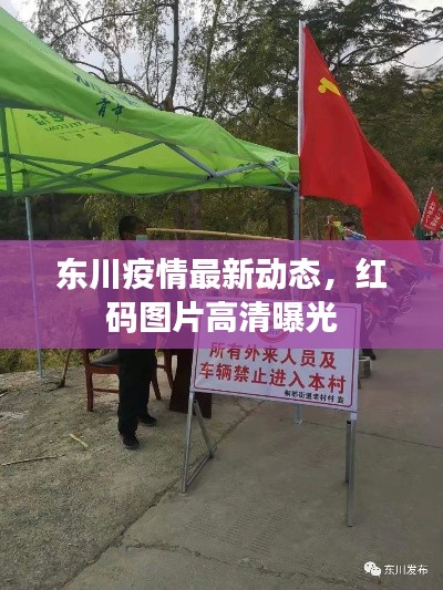 七贵三公 第2页