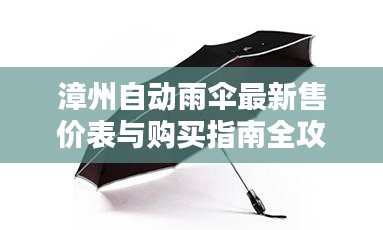 漳州自动雨伞最新售价表与购买指南全攻略