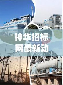 神华招标网最新动态，一网掌握招标资讯！
