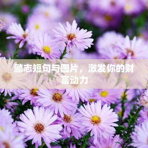 狗尾续貂 第2页