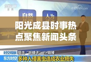 阳光成县时事热点聚焦新闻头条