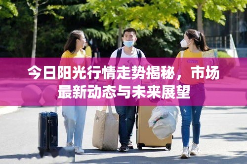今日阳光行情走势揭秘，市场最新动态与未来展望