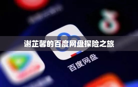 谢芷馨的百度网盘探险之旅