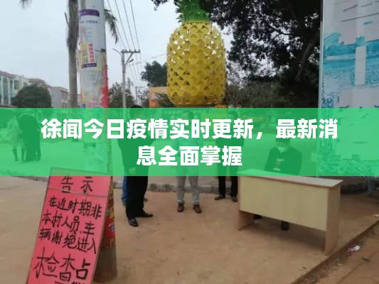 徐闻今日疫情实时更新，最新消息全面掌握