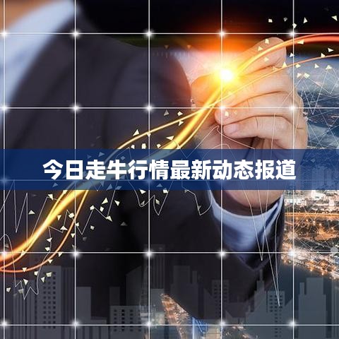 今日走牛行情最新动态报道