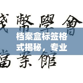 档案盒标签格式揭秘，专业设计吸引眼球的百度收录标题！