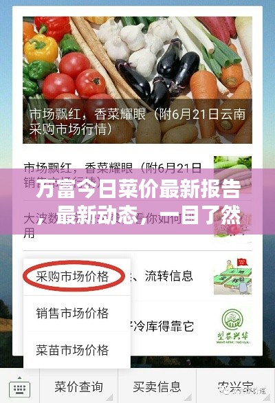 万富今日菜价最新报告，最新动态，一目了然！