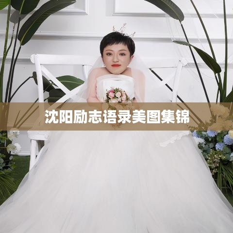 沈阳励志语录美图集锦