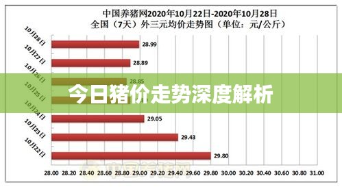 今日猪价走势深度解析