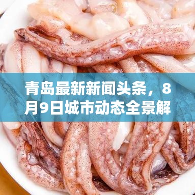 青岛最新新闻头条，8月9日城市动态全景解析
