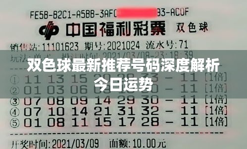 双色球最新推荐号码深度解析今日运势