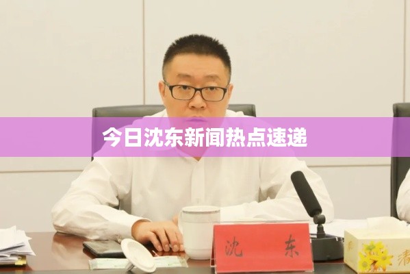 今日沈东新闻热点速递