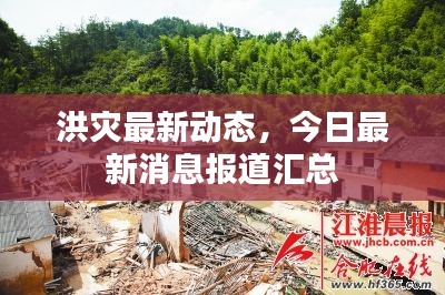 洪灾最新动态，今日最新消息报道汇总
