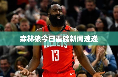 森林狼今日重磅新闻速递