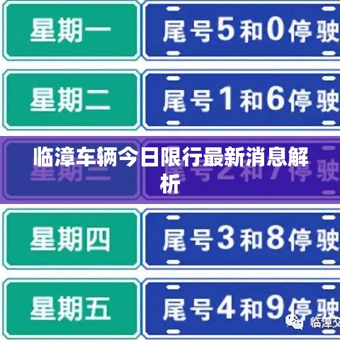 临漳车辆今日限行最新消息解析
