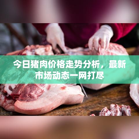 今日猪肉价格走势分析，最新市场动态一网打尽