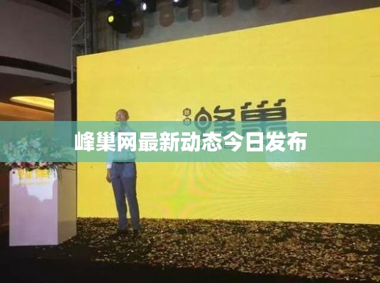 峰巢网最新动态今日发布