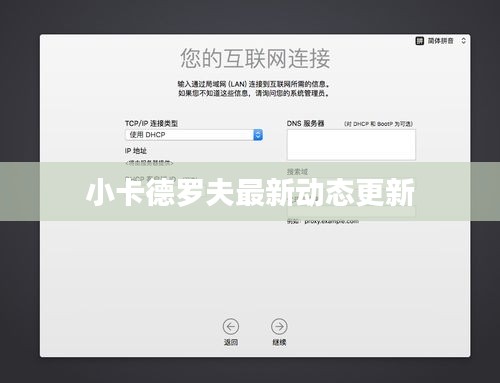 小卡德罗夫最新动态更新