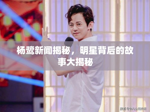 杨鹭新闻揭秘，明星背后的故事大揭秘