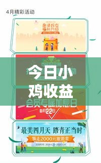 今日小鸡收益报告新鲜出炉！