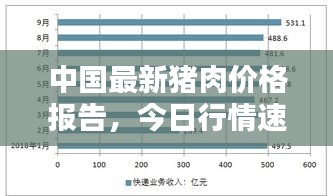 中国最新猪肉价格报告，今日行情速递