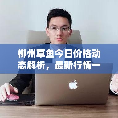柳州草鱼今日价格动态解析，最新行情一网打尽！